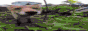 a sped-up gif of a fox sniffing the viewer