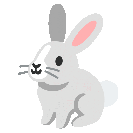 🐇